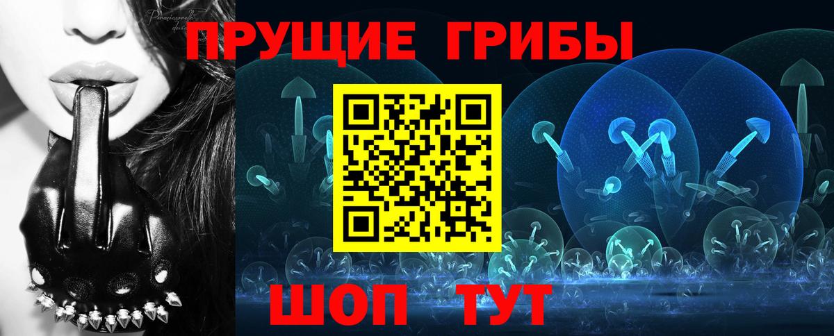 Галлюциногенные грибы Psilocybe Назарово