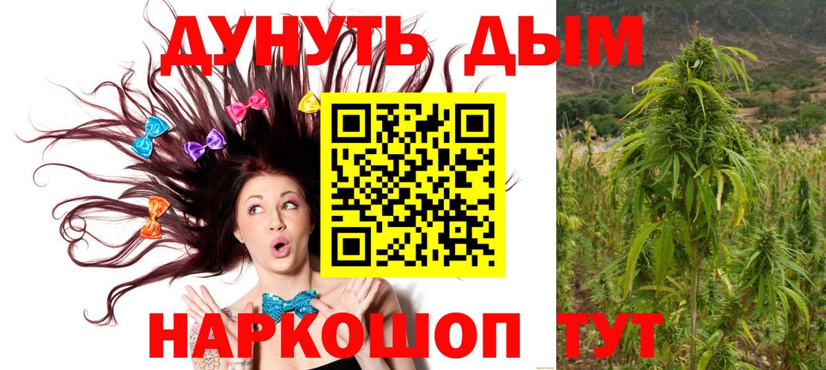 Каннабис индика Назарово